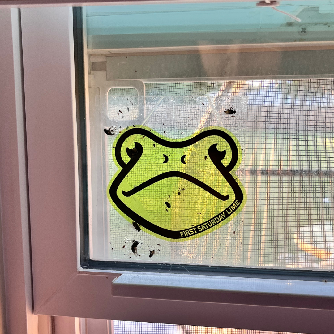 Sticky Window Fly Trap, 6 Pack