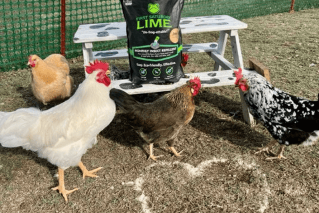 Why First Saturday Lime is the Trusted Choice for Animal Keepers Everywhere