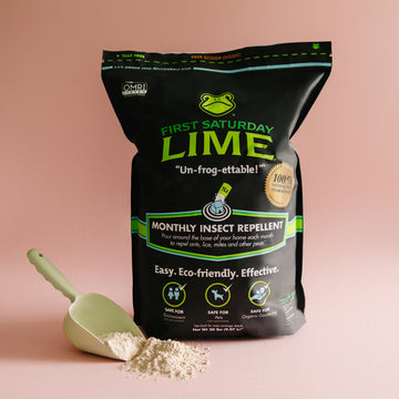 A bag and scoop of First Saturday Lime on a pink back drop.