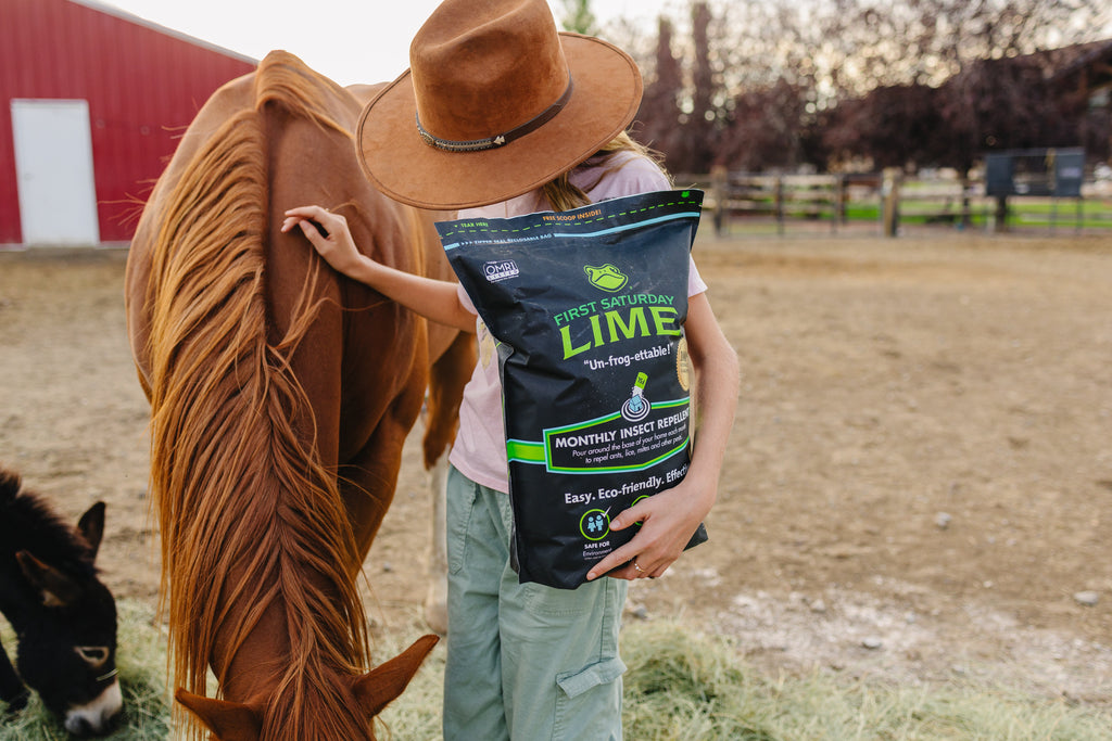 A younger girl holding a bag of First Saturday Lime and standing with a horse.