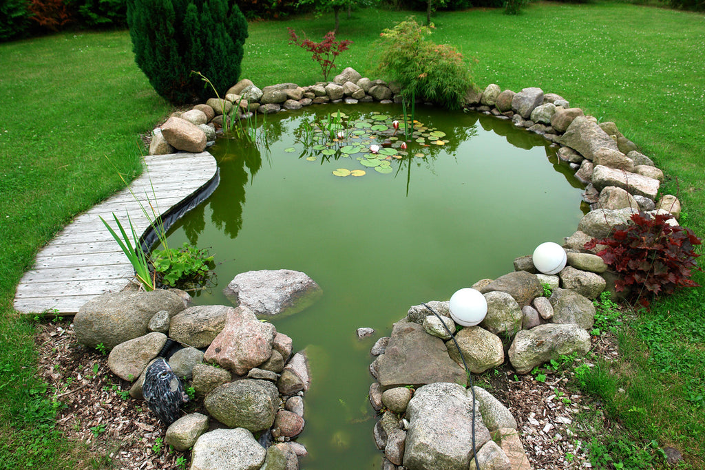 Best Use of Lime for Ponds, Birdbaths and more
