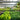 Urban Gardening 101: Tips for Growing Plants in the City