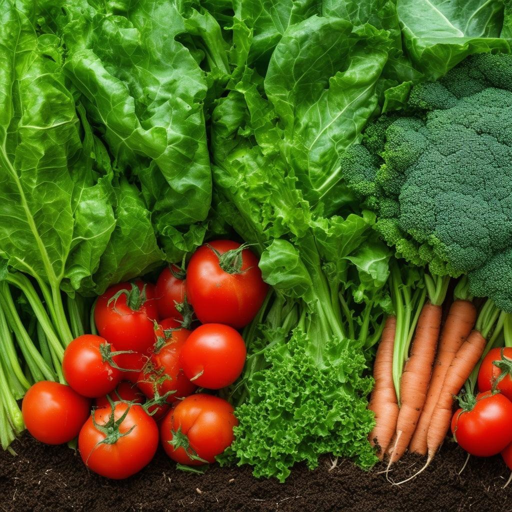 Beginner's Guide to Starting a Vegetable Garden: Tips and Tricks