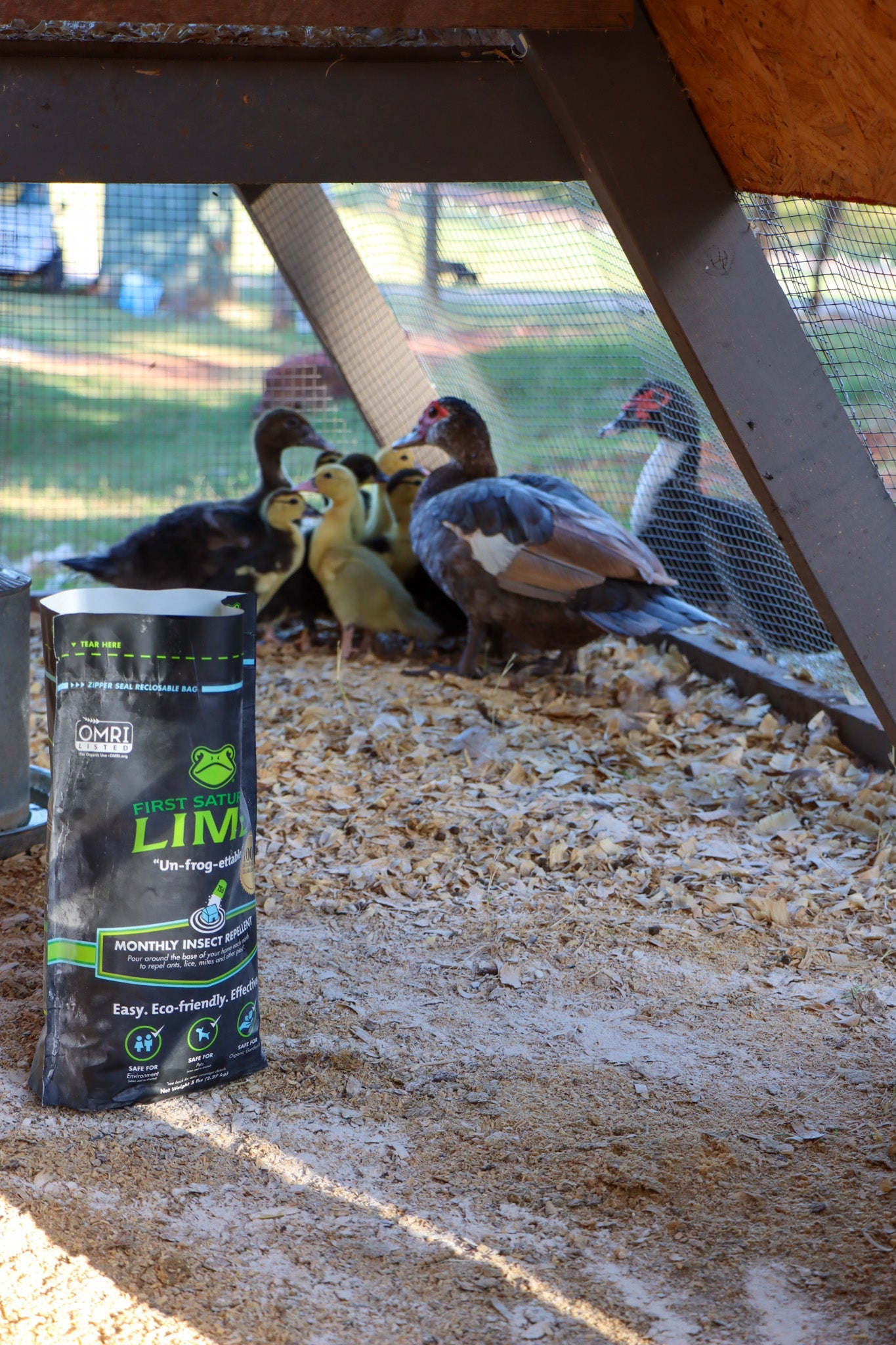 Several ducks in a pen, behind a bag of First Saturday Lime.
