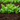 How To Use Limestone To Create An Organic Homestead