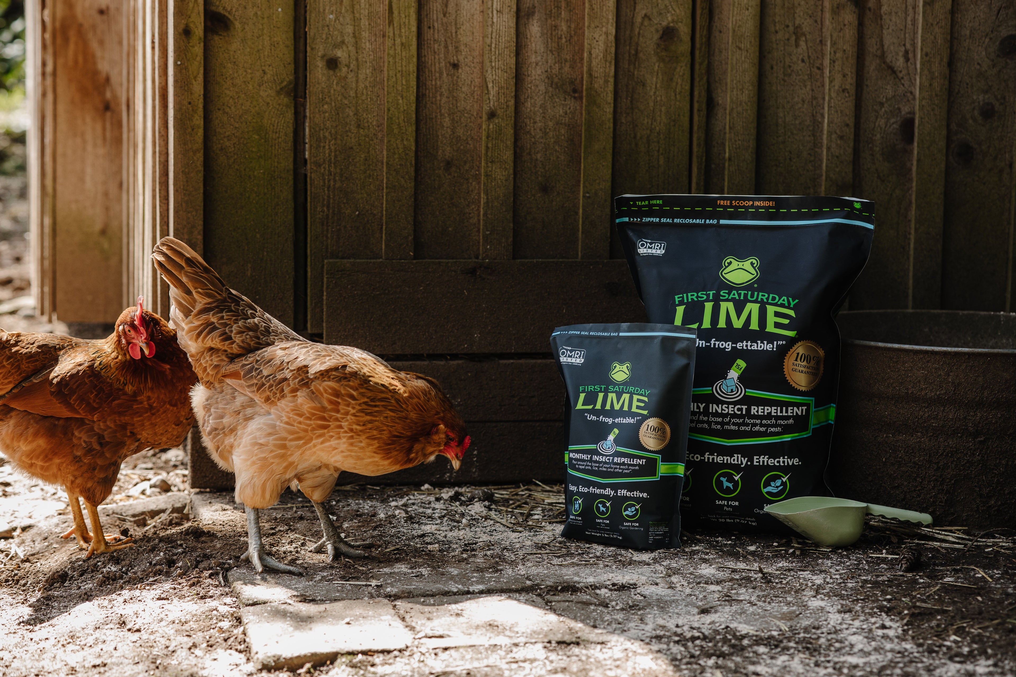 Two chickens outside of a wooden building with two bags of First Saturday Lime.