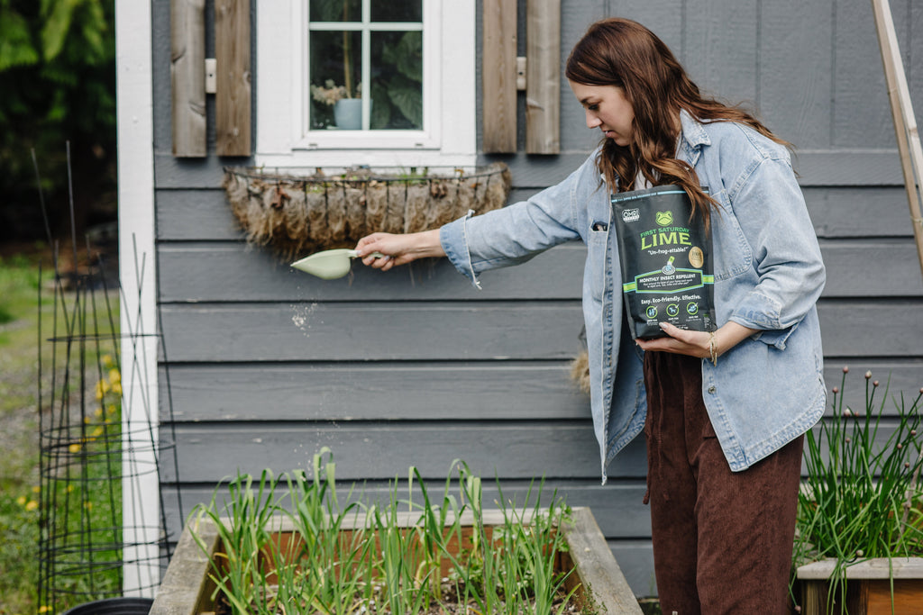 The easiest way to prep for winter ❄️