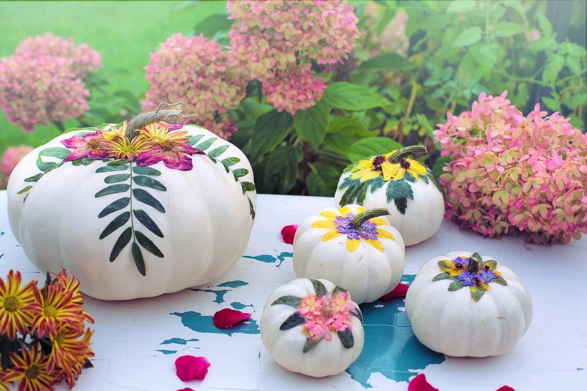 Chalkpaint Pumpkins