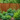 Creative Fence Ideas for Your Vegetable Garden