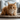 How to Eliminate Odor from Cat Litter Boxes Naturally