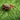 How to Get Rid of Ticks: Effective Strategies for a Tick-Free Home and Garden