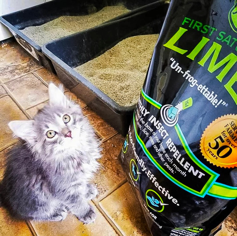 The Purrfect Use for First Saturday Lime: Control Litter Box Odor!
