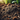 Using Lime to Stabilize Soil and Prevent Erosion