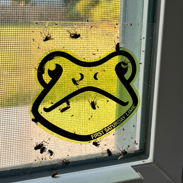 Sticky Window Fly Trap, 6 Pack