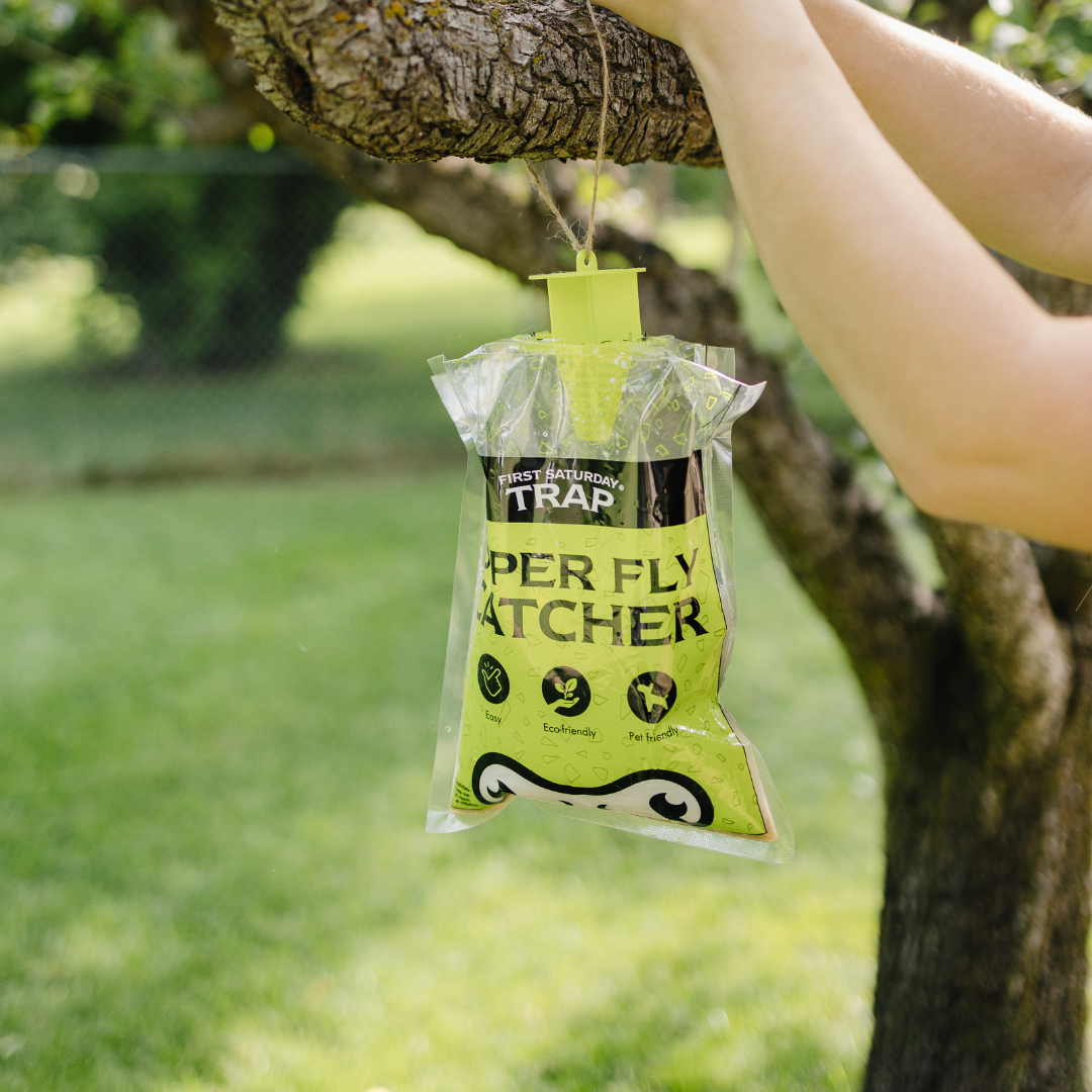 First Saturday Lime® Official Site | Super Fly Catcher