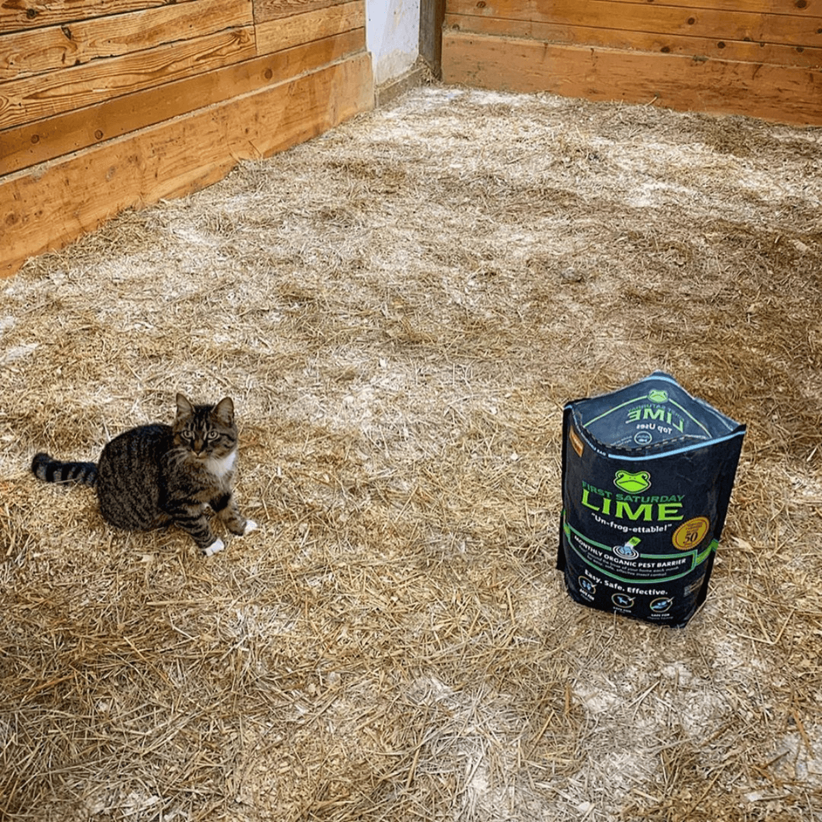 First Saturday Lime® Official Site