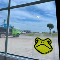 A clean frog-shaped black and green window fly trap adhered to the glass window.