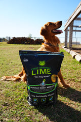 A golden retriever dog sits behind a bag of First Saturday Lime in front of a large chicken coop.