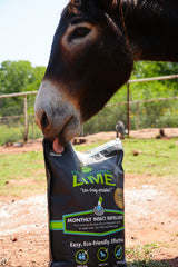 A donkey licks a closed bag of First Saturday Lime.