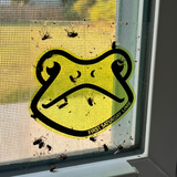 A black and green frog-shaped fly trap adhered to a window with flies stuck to it.