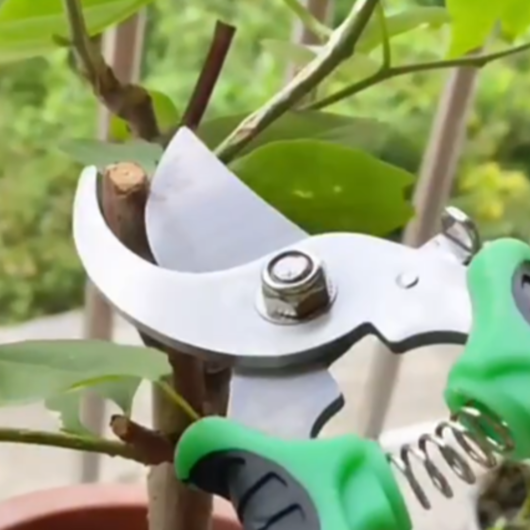 Silver, green, and black pruners trimming a branch.