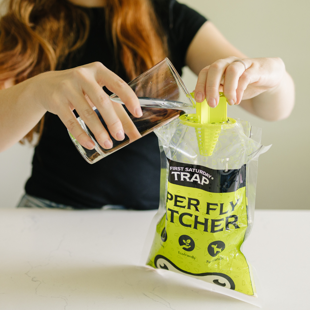 Person adding water to the top of the First Saturday Super Fly Catcher.