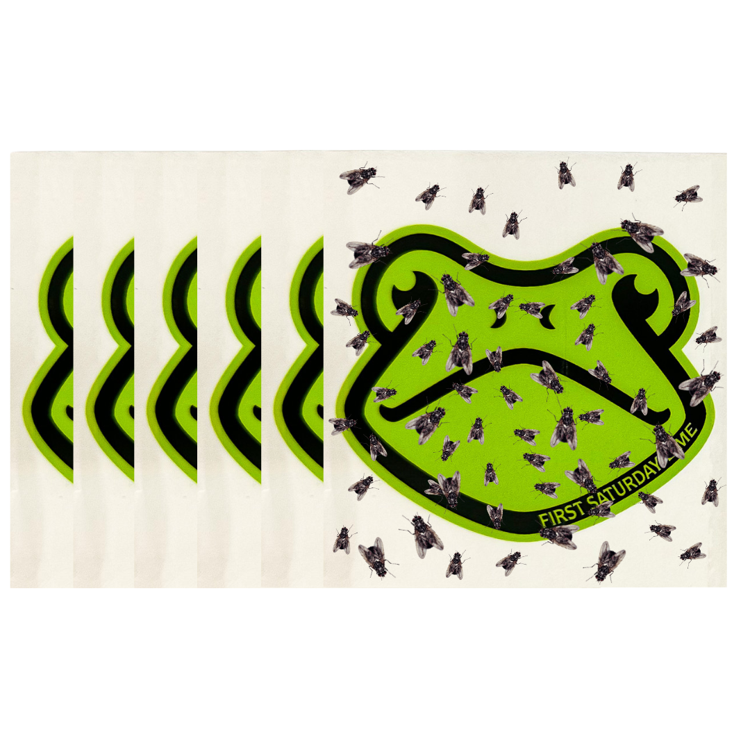 Sticky Window Fly Trap, 6 Pack