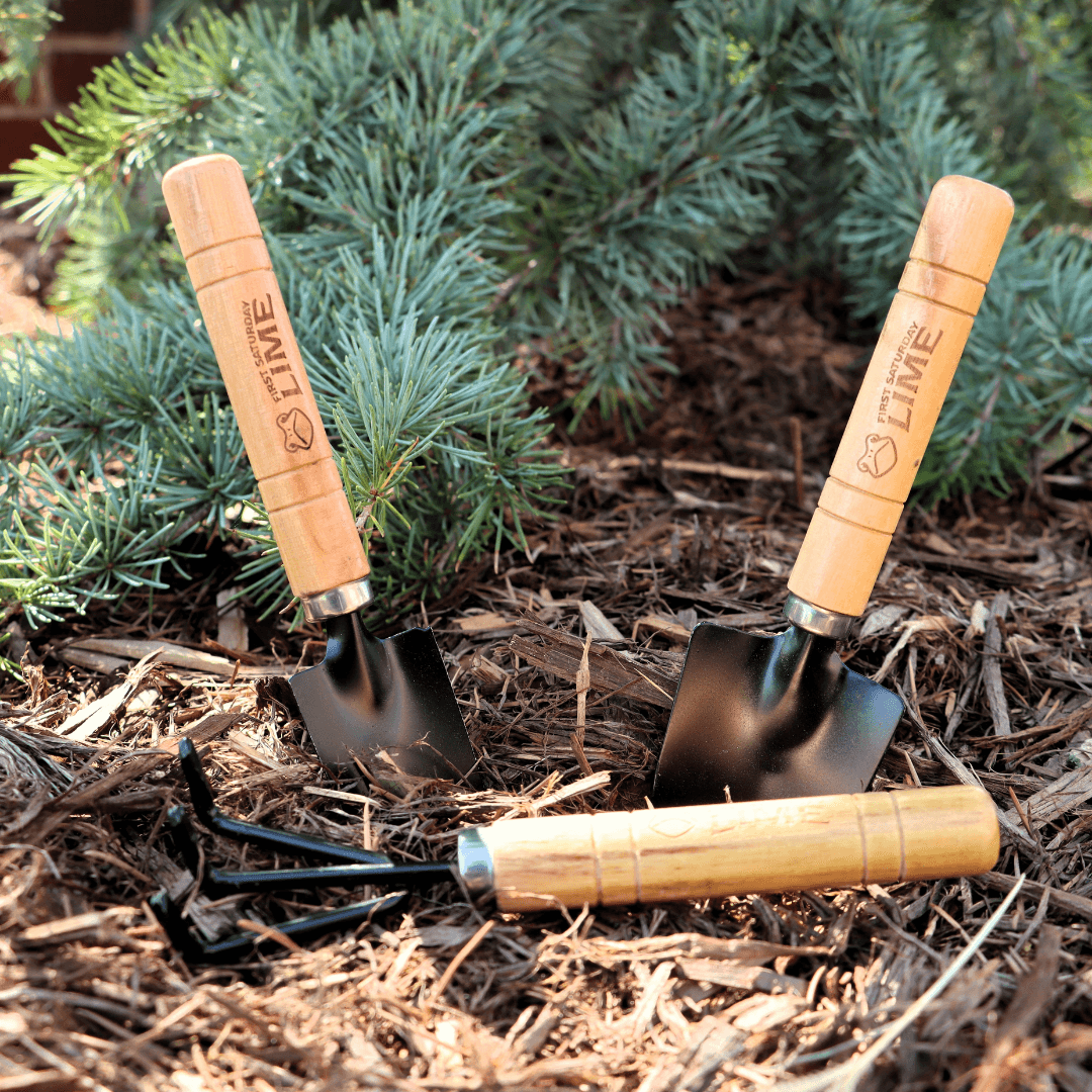 Mini Garden Tools - 3pc